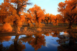 ����ɺ�����